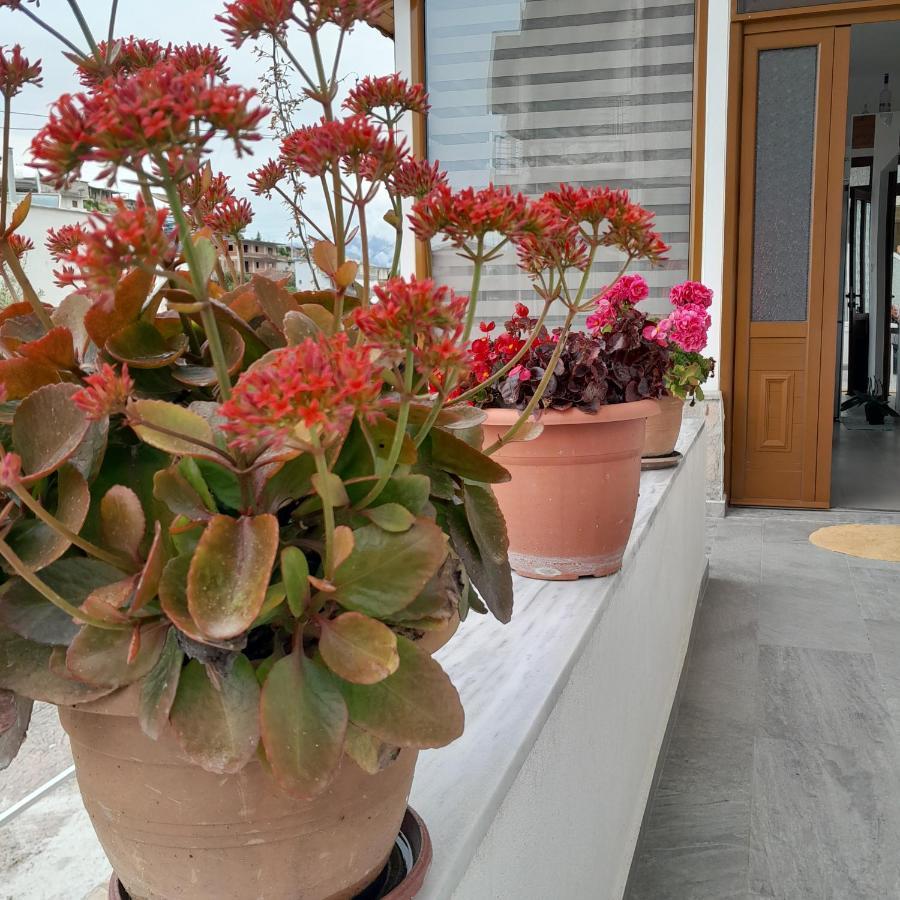 Luxury Dennis Home ساراندا المظهر الخارجي الصورة