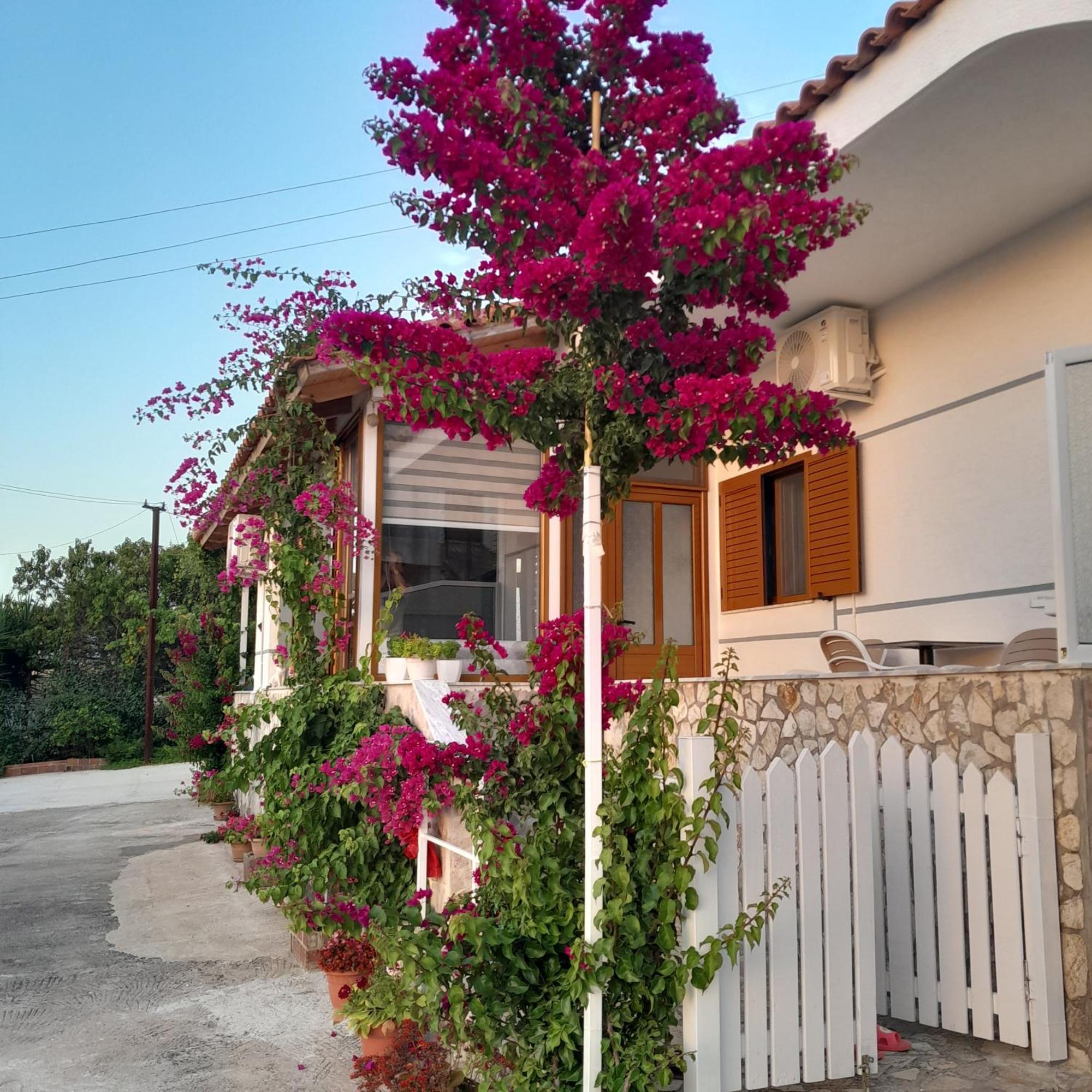 Luxury Dennis Home ساراندا المظهر الخارجي الصورة
